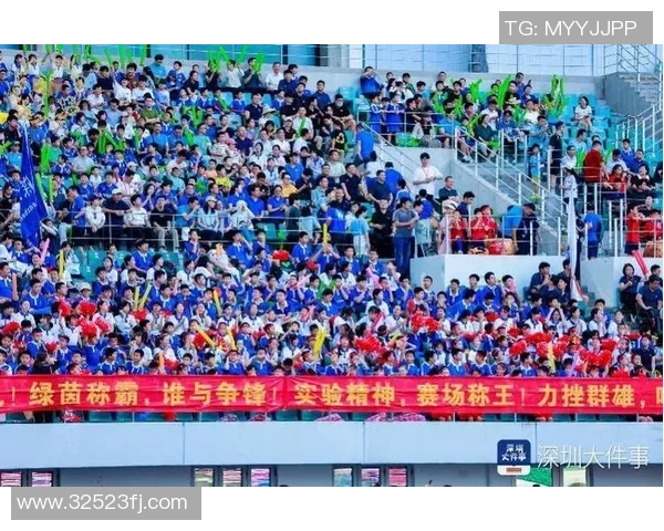 世界足球明星齐聚深圳展现足球魅力与激情的盛会